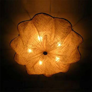 �����FLOS�L(f��ng)��F(xi��n)����