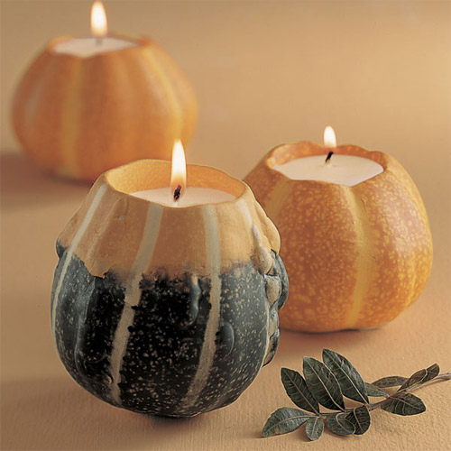 �fʥ���Ɍ�����ȱ�ٵ���Ʒ