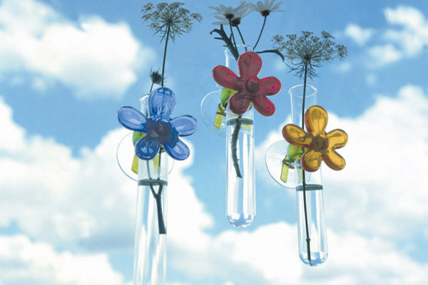 ���ɐ��n�������¼Ҿ�