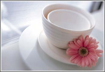 �ɐ۲;�׌С�Y�Ĵˑ��ϏN