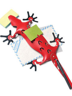 �ǳ��ɐ۵�Ƥ��ռ{С���