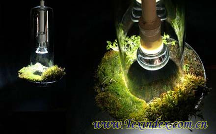 ���G�⡱ֲ��՚������