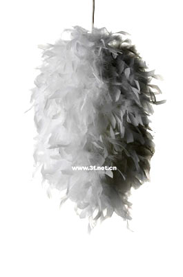 ǧ��ٹֵğ�� ��ë����l���ğ�