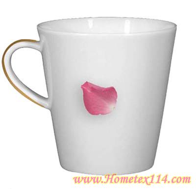 �����һ��t�����Ĳ;�������