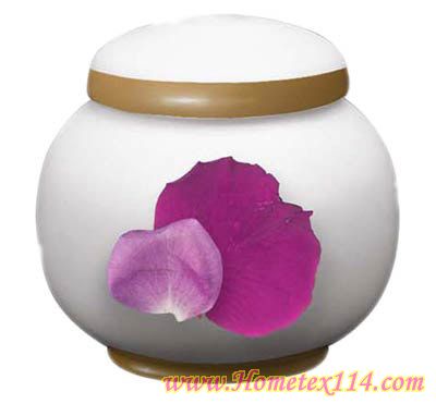 �����һ��t�����Ĳ;�������