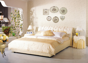 軟體品牌豐富 優惠一枝獨秀