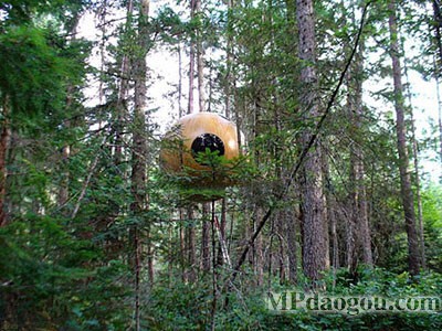 ������˼�������w�Ƅӷ���