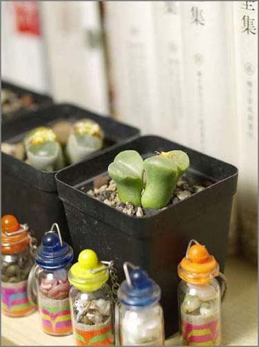 �T��Сʯ�������o�޾��ʼҾ�