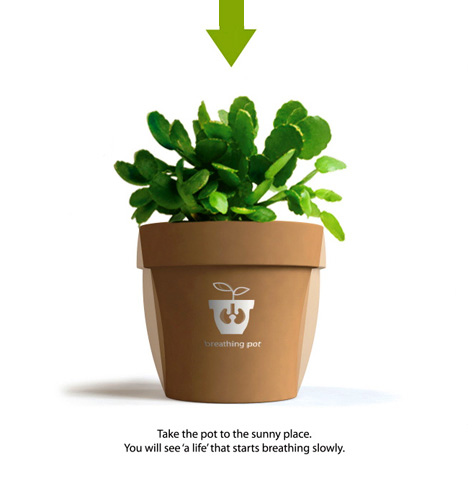 �����������Ļ��脓��ɫ��