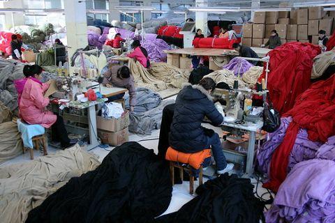 洋洋家紡建德家紡行業的新星