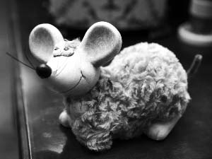 鼠年給家里添個(gè)“鼠來(lái)寶”