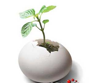 �õ������������Ҿ��Ʒ