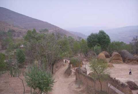 �o����̺�ӹ����FҎģ�lչ