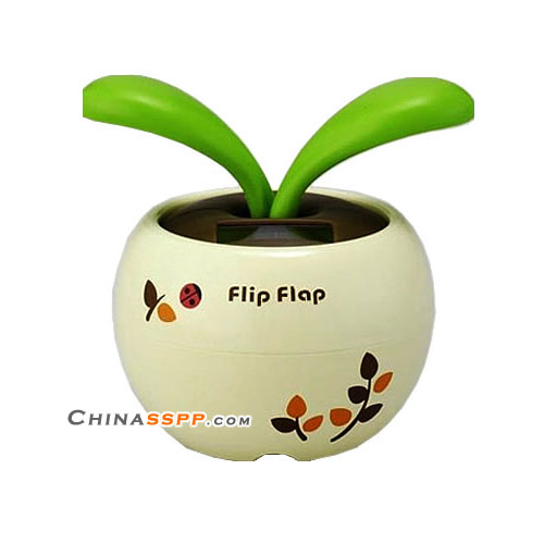 令你心動的可愛陽光Q盆栽