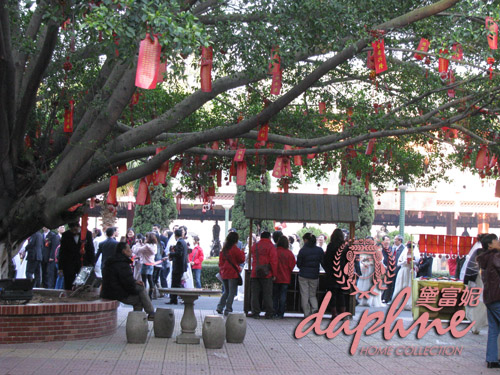 喜結連理浪漫婚典