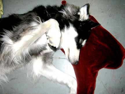 �����OӋ��Ѫ���^��ɢѪ��