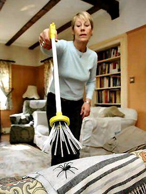 �������(l��i)��ʮ��(chu��ng)��Ҿ�