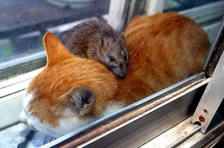 ��(chu��ng)�I(y��)�ؿ�ʮ��(j��ng)��Ҫ�E