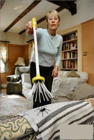 ��Ԏ����ʮ����Ҿ���Ʒ