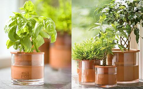 �w���߱�4��⻨��