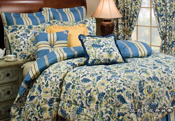 �Ϻ��������Ҽ�2009���ĮaƷ¡�صǈ�