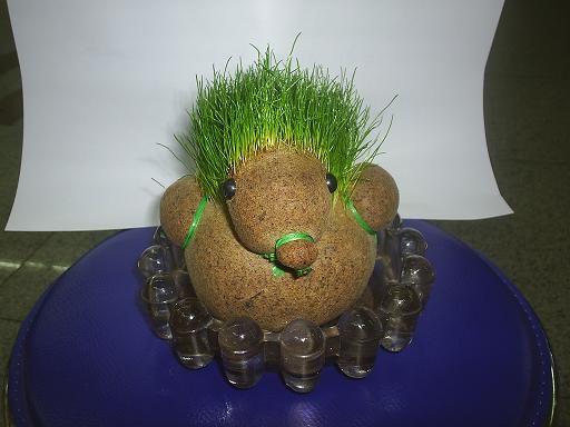 �r�Є���ɐۭh�����^����