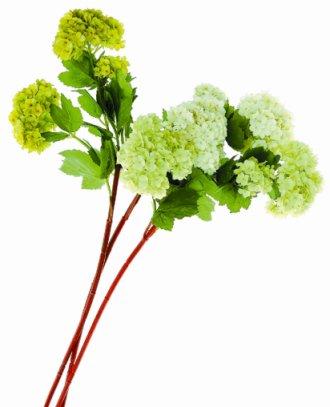 20Ԫ�p�ɴ�����������