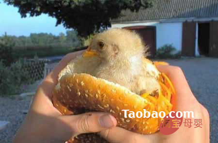 �gЦ�r(sh��)�����˹�(ji��)�������