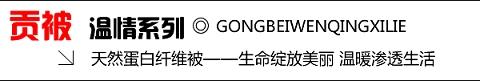 可欣家紡09新品推出貢被系列