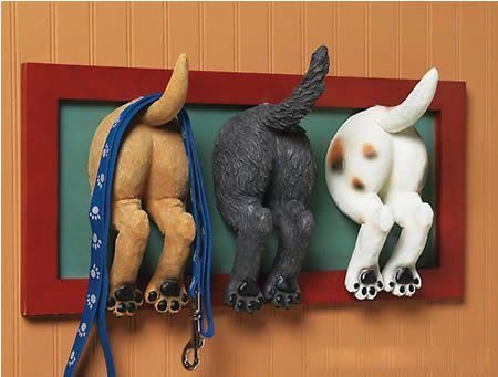 12�����≦�^�����