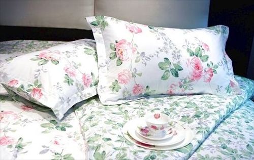 ���������N�ĵĴ�����Ʒ