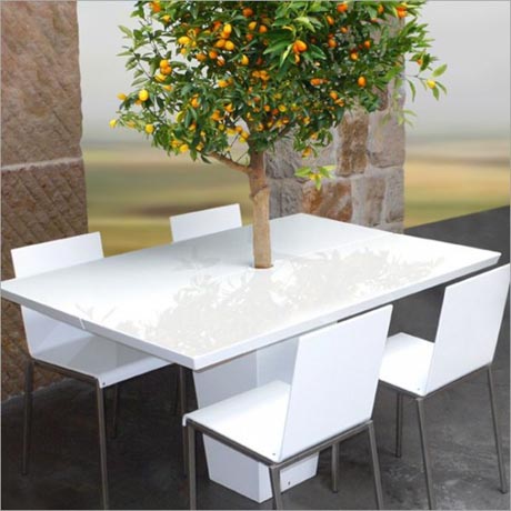 ʥ�Q��ͷ��������愓������