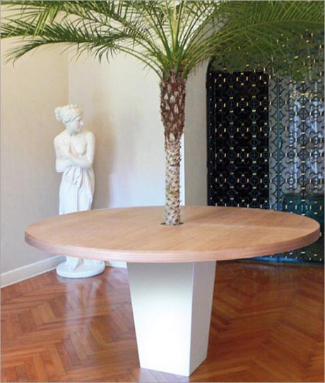 ʥ�Q��ͷ��������愓������