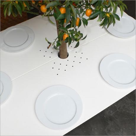 ʥ�Q��ͷ��������愓������