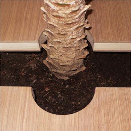 ʥ�Q��ͷ��������愓������