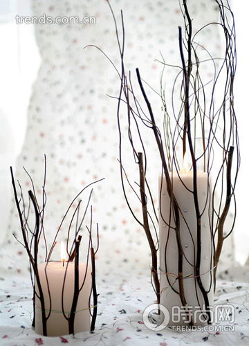 12��Ϟ�T���������^��