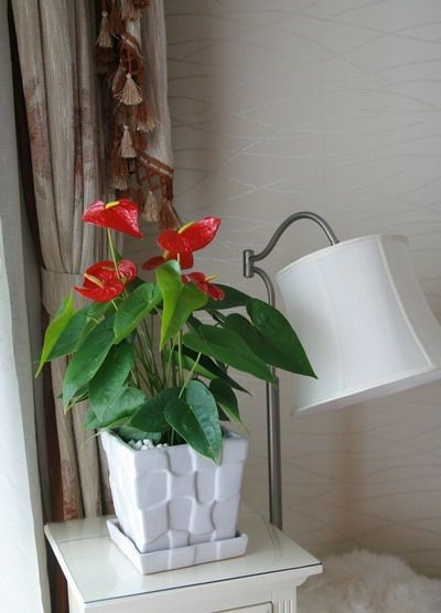 �O�M���A�nʽ�r������С��