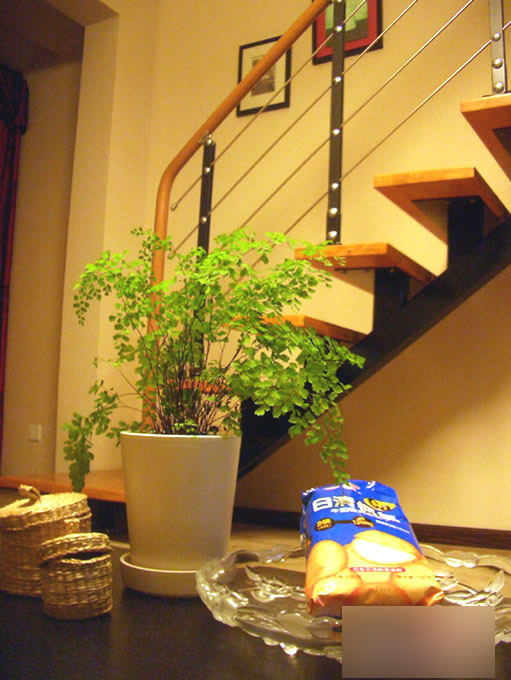 80��W�����bС��ʽ