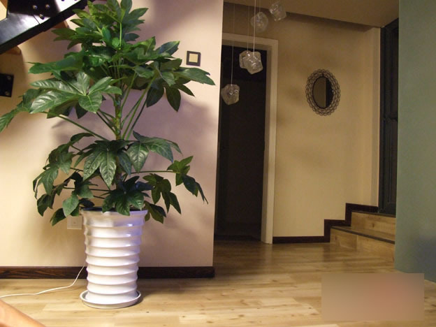 80��W�����bС��ʽ