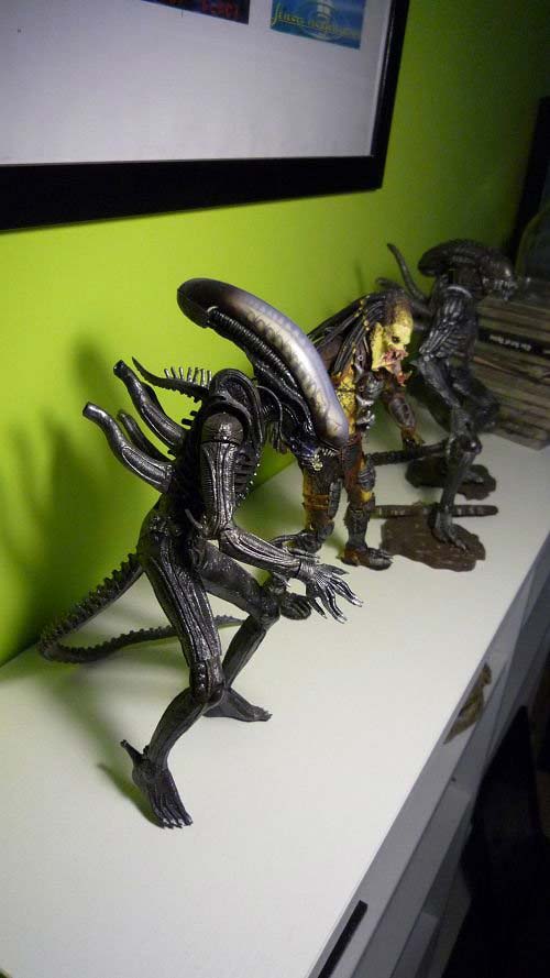 �W(w��ng)ُ�b��62ƽ�ɾ��ҾGɫ��ܰ��