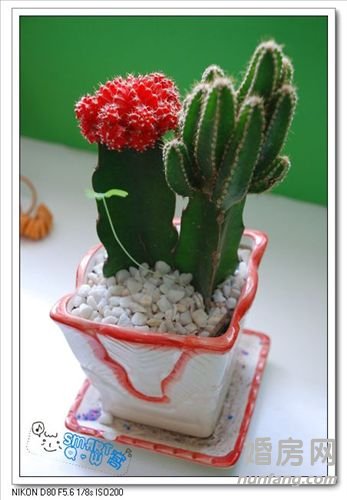 5�fDIY68ƽС�C����һ�d