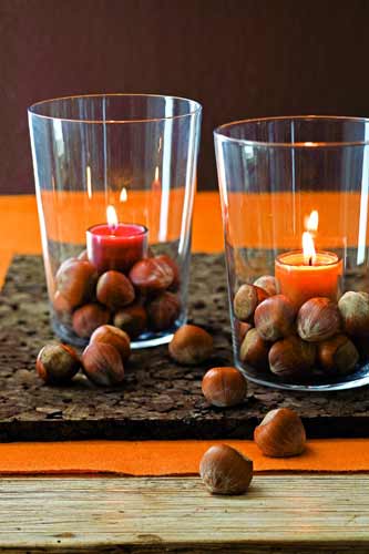 ůɫ�����c��ܰ��Ԓ