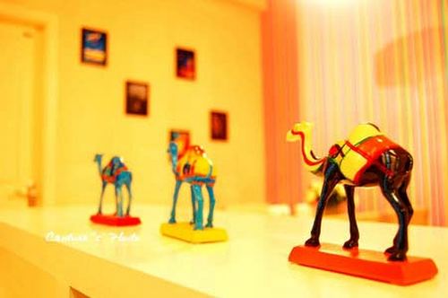 �r��+����С����Ʒλ������