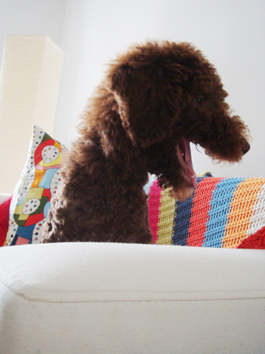 ���b2�fס�Më�߷�