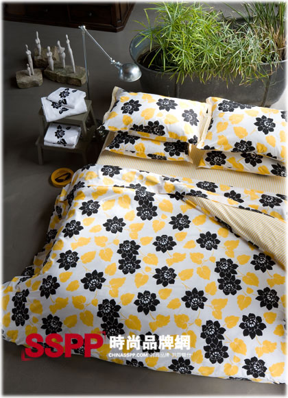 Essix�Ҽ���Ʒ������Ȼ�Č��o������