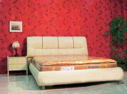 ����n�����sƤ�|�P�Ҵ�