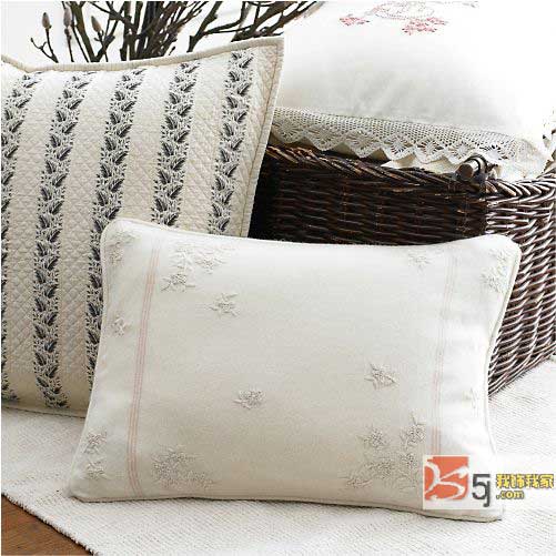 時尚界大佬RalphLauren抱枕(二)