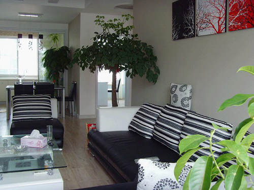 3.9�f�b65ƽ�ͬF�����s������