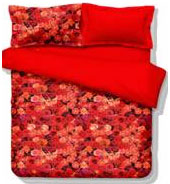 ����Y�����ϲ�����˹�(ji��)�Đ�֮�Y