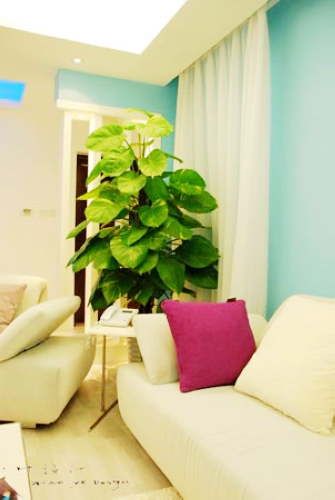 ��(y��u)���{(l��n)ɫ�����໨��